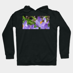 Crocus Lover Hoodie